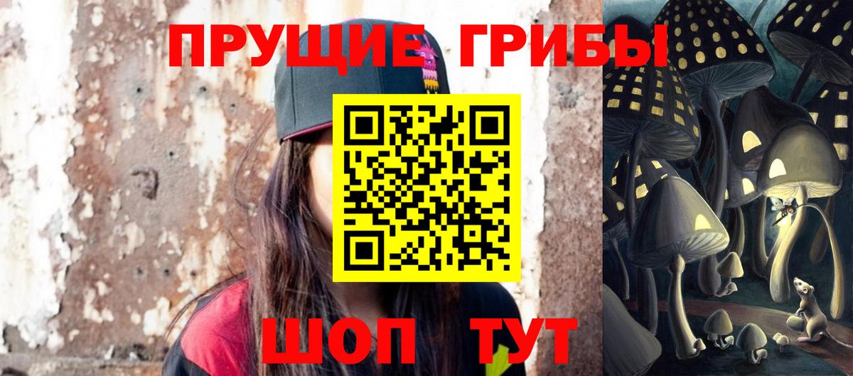 Псилоцибиновые грибы Psilocybine cubensis Белебей